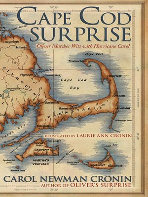 cover image of Cape Cod Surprise